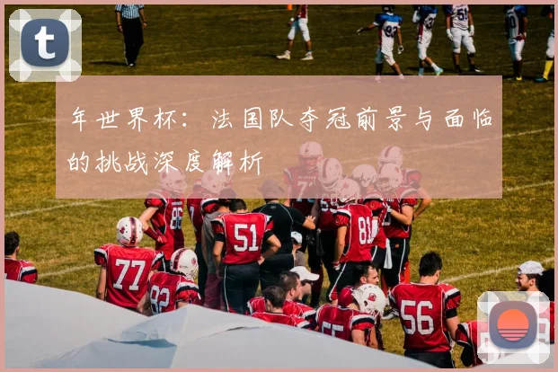 年世界杯:法国队夺冠前景与面临的挑战深度解析