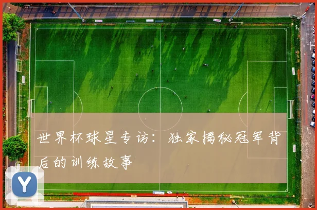 世界杯球星专访：独家揭秘冠军背后的训练故事