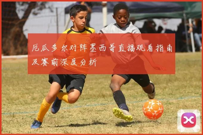厄瓜多尔对阵墨西哥直播观看指南及赛前深度分析
